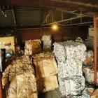 Afacere 3 imagine MARY DEUTZ SRL - COLECTARE DESEURI BUCURESTI Servicii profesionale în Bucuresti B