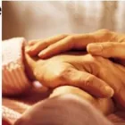 Afacere 1 imagine MB&A TOTAL GREEN SRL Servicii profesionale în Bucureşti