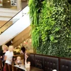 Afacere 6 imagine METROPLEX PROPERTY MANAGEMENT în Bucureşti