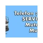 Afacere 2 imagine MOVEUP Transport în Bucureşti