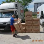 Afacere 1 imagine MUTANTII SRL Transport în Cluj-Napoca CJ