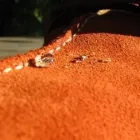 Afacere 4 imagine NANO TECH INDUSTRY SRL Produse chimice în Cluj-Napoca CJ