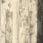 Afacere 1 imagine OCULUS OFFICE Servicii profesionale în Bucureşti