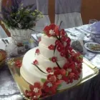 Afacere 6 imagine POLYN ROYAL SALOON Restaurant specializat în salate în Bucureşti