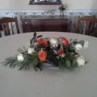 Afacere 15 imagine POLYN ROYAL SALOON Restaurant specializat în salate în Bucureşti