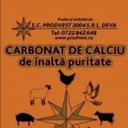 Afacere 2 imagine PRODVEST Shopping în Deva HD