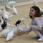 Afacere 5 imagine RADU AURELIAN - BIROU DE MEDIATOR Servicii legale şi financiare în Ploieşti PH