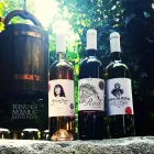 Afacere 2 imagine RESTAURANT HANU' LUI MANUC Restaurant specializat în fripturi în Bucureşti