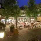 Afacere 7 imagine RESTAURANT HANU' LUI MANUC Restaurant specializat în fripturi în Bucureşti