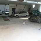 Afacere 4 imagine ROSTAR SRL Service auto specializat în reparatiile urmelor de tamponari în Galaţi