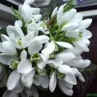 Afacere 6 imagine RPS TECHNOLOGIES SRL Sisteme de ventilare, încălzire şi aer condiţionat în Bucureşti