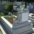 Afacere 2 imagine S.C. MONUMENTAL S.R.L Turism şi Agrement în Timişoara TM