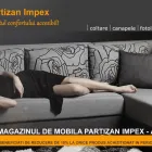 Afacere 1 imagine S.C. PARTIZAN IMPEX S.R.L. Magazin de mobilă în Timişoara TM