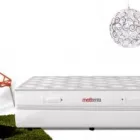 Afacere 2 imagine SALTELE TED Shopping în Bucureşti