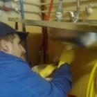 Afacere 1 imagine SARA SI TARA SERVICES Servicii profesionale în Bucureşti