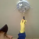 Afacere 2 imagine SARA SI TARA SERVICES Servicii profesionale în Bucureşti