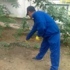 Afacere 3 imagine SARA SI TARA SERVICES Servicii profesionale în Bucureşti