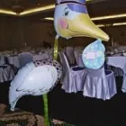 Afacere 1 imagine SC AGENTIA SELECT EVENTS SRL Servicii profesionale în Bucureşti