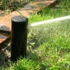 Afacere 1 imagine SC GAIA BIO SYSTEMS SRL Shopping în Cluj-Napoca CJ