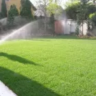 Afacere 3 imagine SC GAIA BIO SYSTEMS SRL Shopping în Cluj-Napoca CJ