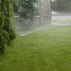 Afacere 4 imagine SC GAIA BIO SYSTEMS SRL Shopping în Cluj-Napoca CJ