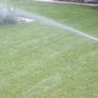 Afacere 6 imagine SC GAIA BIO SYSTEMS SRL Shopping în Cluj-Napoca CJ