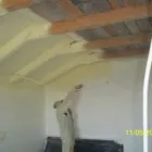 Afacere 2 imagine SC IZOHAUS NEW IZOLATII NR.1 SRL Vânzări cu ridicata a lemnului neprelucrat în Timişoara TM