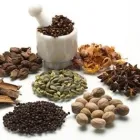 Afacere 1 imagine SC PRIM UNIQUE SRL Producători şi furnizori de bulbi şi seminţe în Braşov