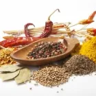 Afacere 4 imagine SC PRIM UNIQUE SRL Producători şi furnizori de bulbi şi seminţe în Braşov