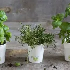 Afacere 5 imagine SC TINKOFF SRL Shopping în Cluj-Napoca CJ