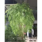 Afacere 7 imagine SHARETRADE ARTIFICIAL FLOWER MANUFACTURER CO., LTD Servicii de amenajări cu plante de interior în Bucharest B