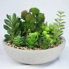 Afacere 9 imagine SHARETRADE ARTIFICIAL FLOWER MANUFACTURER CO., LTD Servicii de amenajări cu plante de interior în Bucharest B
