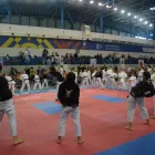 Afacere 2 imagine SHUHARI DOJO Sport şi Activităţi în aer liber în Bucureşti