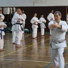 Afacere 3 imagine SHUHARI DOJO Sport şi Activităţi în aer liber în Bucureşti