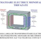 Afacere 3 imagine SOCIETATE COOPERATIVA PROGRESUL Servicii profesionale în Timişoara TM