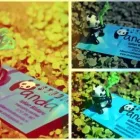 Afacere 1 imagine STUDIO PANDA Shopping în Ploieşti PH