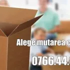 Afacere 1 imagine TEMUTAM.RO Transport în Bucureşti