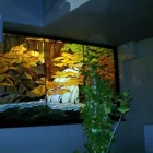 Afacere 3 imagine VITRALII POP Uşi, ferestre şi accesorii în Cluj-Napoca CJ