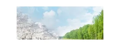 Afacere 4 imagine ALEX TOURS Turism şi Agrement în Suceava