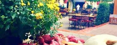 Afacere 2 imagine BECKER BRÄU Restaurant cu specific est-european în Bucharest B