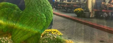 Afacere 6 imagine BECKER BRÄU Restaurant cu specific est-european în Bucharest B