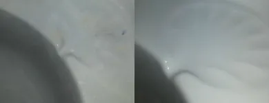 Afacere 6 imagine BLING SERVICES Servicii profesionale în Cluj-Napoca CJ