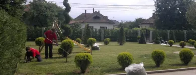 Afacere 1 imagine BUSINESS MB EXIM SRL Servicii profesionale în Apahida CJ