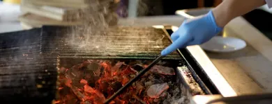 Afacere 17 imagine CITY GRILL COVACI Restaurant specializat în fripturi în Bucuresti B