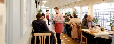 Afacere 10 imagine CITY GRILL PRIMĂVERII Restaurant specializat în fripturi în Bucharest B