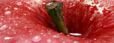 Afacere 7 imagine CLINICA OK MEDICAL Sănătate şi Medicină în Bucureşti
