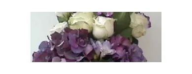 Afacere 1 imagine FLORARIA FLORIS STYLE Shopping în Cluj-Napoca CJ