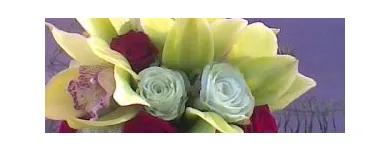 Afacere 2 imagine FLORARIA FLORIS STYLE Shopping în Cluj-Napoca CJ