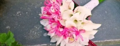 Afacere 4 imagine FLORARIA FLORIS STYLE Shopping în Cluj-Napoca CJ