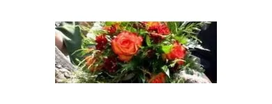 Afacere 6 imagine FLORARIA FLORIS STYLE Shopping în Cluj-Napoca CJ